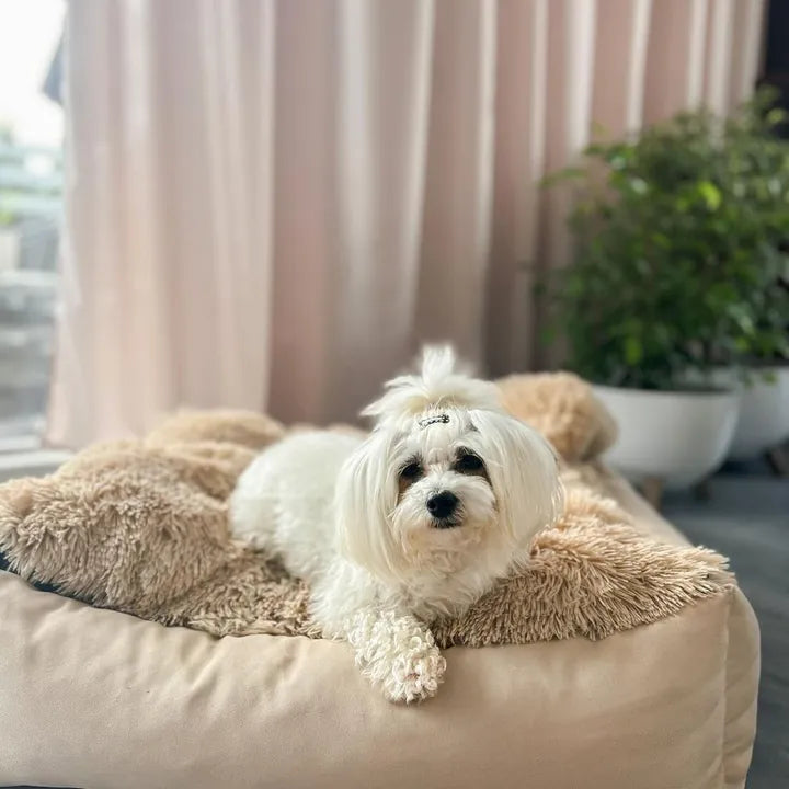 Lusia — Malteser