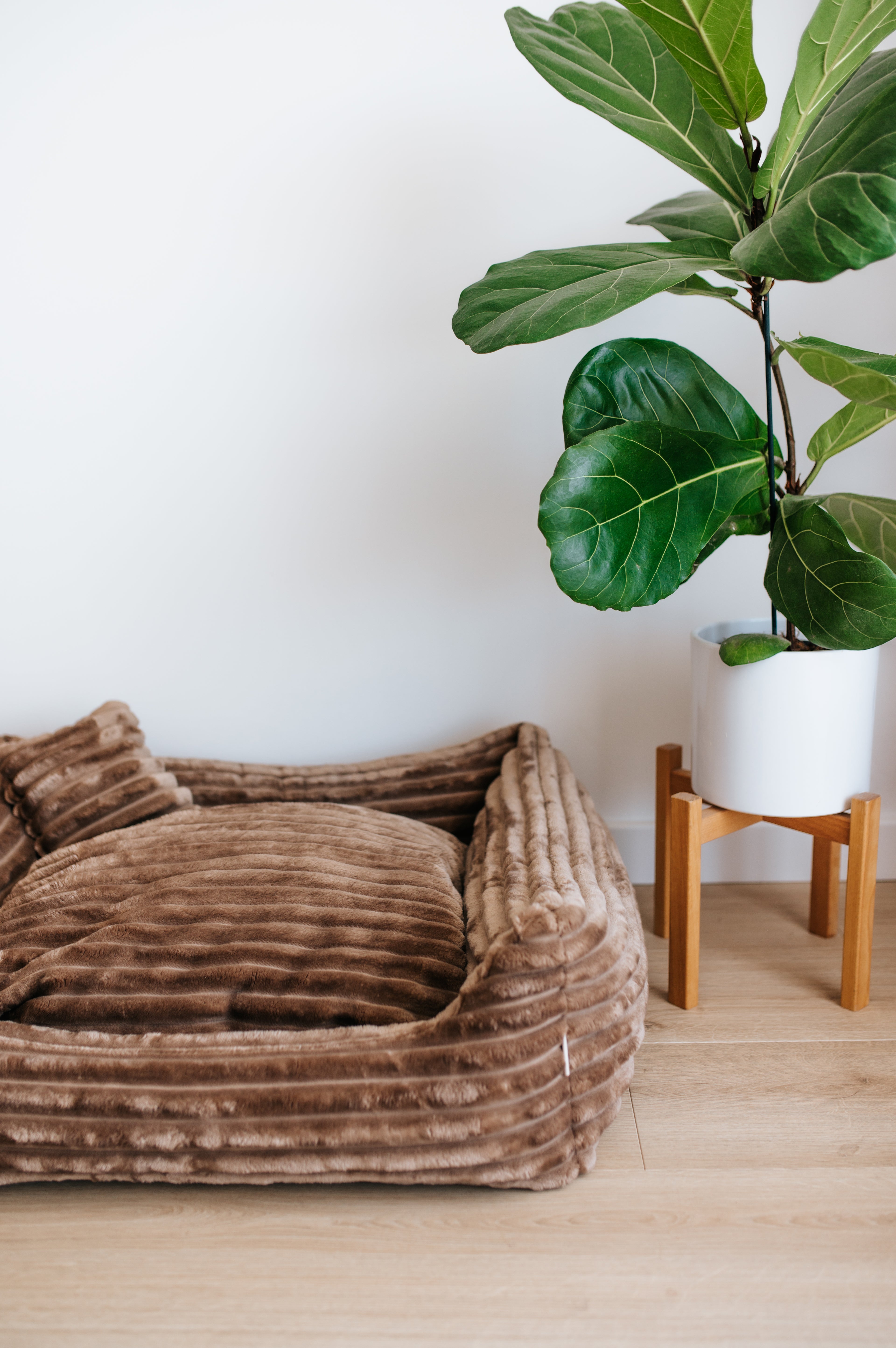 Hundebett Dream Creme