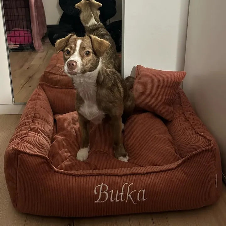 Bułka